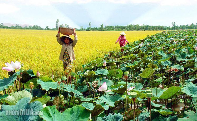 Mekong Way Homestay Cai Be Esterno foto