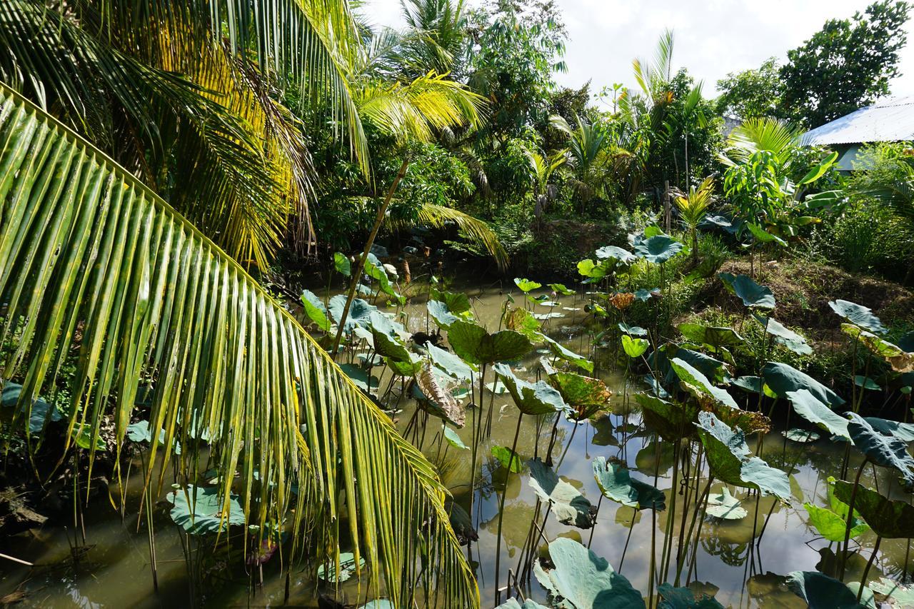 Mekong Way Homestay Cai Be Esterno foto